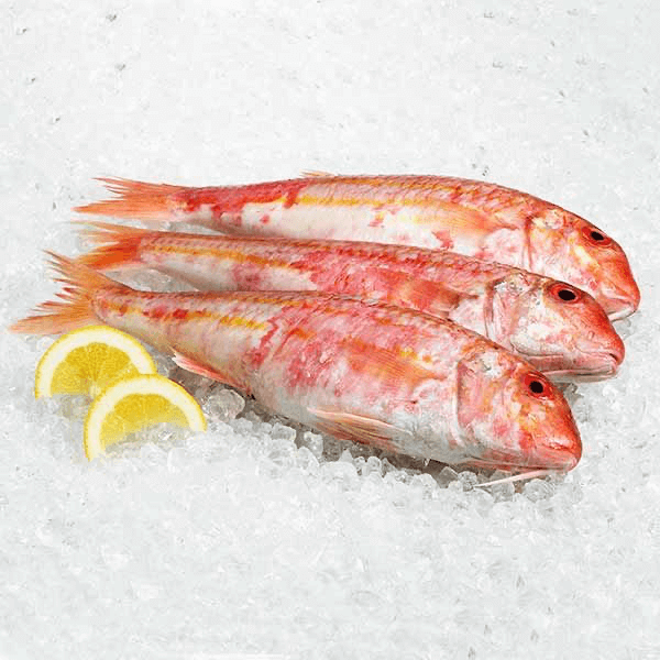 Pescados enteros de mar mixtos ( 10 Lbs ) Pescados enteros de mar mixtos ( 10 Lbs )