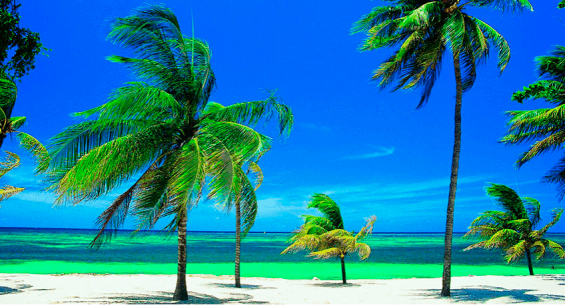Hotel Playa Pesquero Premium Hotel Playa Pesquero Premium