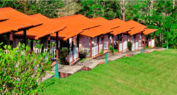 Hotel Villa Los Jazmines Hotel Villa Los Jazmines