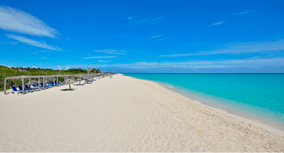 Hotel Meliá Cayo Santa María Hotel Meliá Cayo Santa María